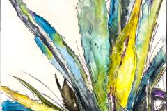 Stephen Michael McCombs | Todos Santos Open Studios