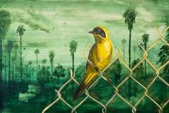 Cesar Perales | Todos Santos Open Studios