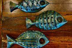 Kim Otto | Todos Santos Open Studios