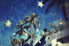 Emanuela Gardner | Todos Santos Open Studios