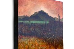Jill Valliere | Todos Santos Open Studios