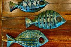 Kim Otto | Todos Santos Open Studios