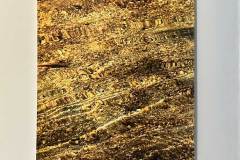 Roberta Booth | Todos Santos Open Studios