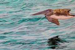 Tom Hamer | Todos Santos Open Studios