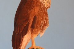 Tom Hamer | Todos Santos Open Studios